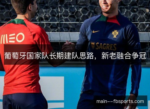 葡萄牙国家队长期建队思路,新老融合争冠 葡萄牙国家队长期建队思路,新老融合争冠